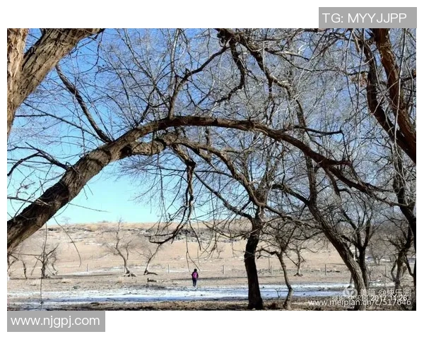 足球巴巴带你领略世界足球盛宴尽享激情与快乐的每一刻